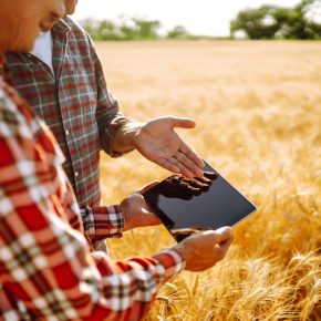 Инновации с природой: новая глава в селекции растений