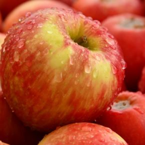 Сезон Apple в Украине фактически закончился Сезон Apple в Украине фактически закончился