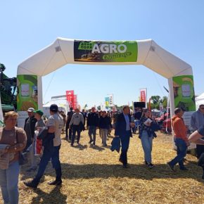 Поле Agro Challenge уже находится в регионе Киев во второй раз