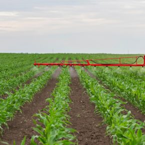 Максимальная обработка