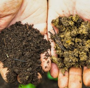 Оплодотворение и защита забора с помощью органического вещества