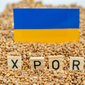 Украина отправила 37 миллионов тонн зерна для экспорта