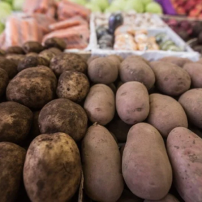 Прошлогодний картофель дешевле в Украине Прошлогодний картофель дешевле в Украине