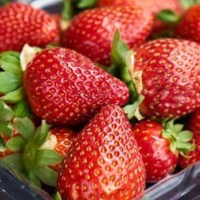 В Украине цены на садовую клубнику рухнули