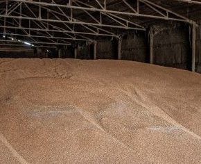 В Украине отменили обязательное страхование зерна для хранения В Украине отменили обязательное страхование зерна для хранения