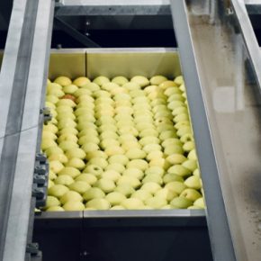 Агро -обработка растет в Украине Агро -обработка растет в Украине