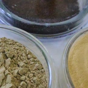 BTU расширил производство сухих форм биологических продуктов