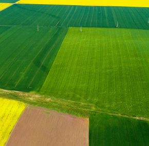 Цены на землю в Украине в 2025 году достигают почти 200 тысяч долларов на HA