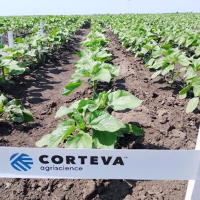 Corteva Agriscience представила полевую платформу исследования "Agro Space"