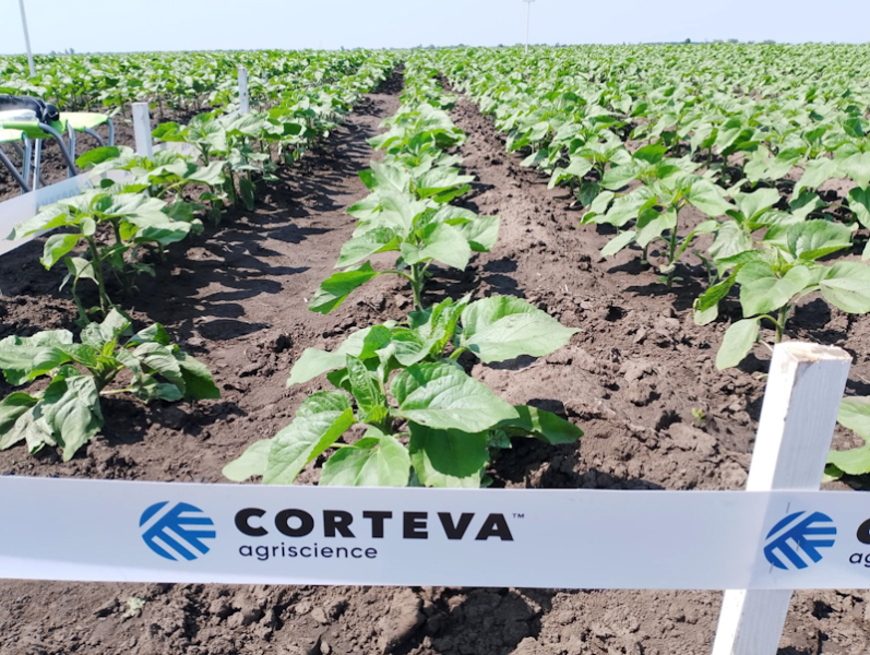 Corteva Agriscience представила полевую платформу исследования «Agro Space»