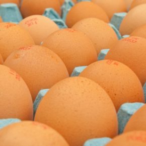 Яйца из Бразилии в Соединенные Штаты увеличились в 10 раз