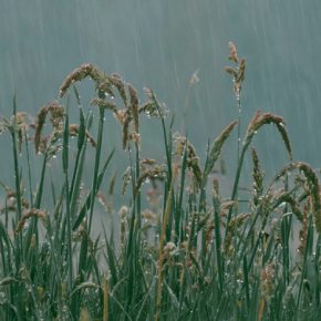 Китай играет в Боге: вызывая дожди на заказ для фермеров