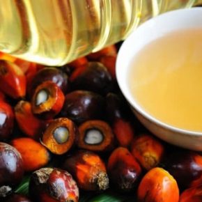 На мировом рынке дефицит пальмового масла