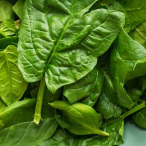Самый полезный шпинат: советы для щедрого урожая
