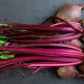 Самая вкусная красная свекла: первое кормление