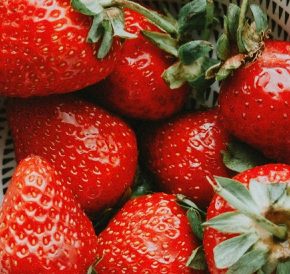 Пик клубничного сезона: цены снижаются