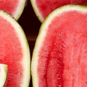 Сочные новости: Украина начала сезон ранних арбузов в Украине