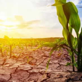 Украина сталкивается с реальной угрозой опустынивания и укрепления засухи