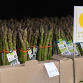 Украина вошла в три поставщика органических продуктов для ЕС.