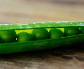 Украинский горох: нишевая культура с отличным краем Украинский горох: нишевая культура с отличным краем