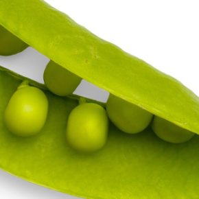 Украинский горох получил & quot; Канадский качество Украинский горох получил & quot; Канадский качество