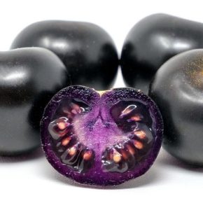 Фиолетовые помидоры появятся в Австралии