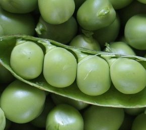 В Украине растут цены на горох