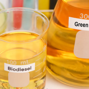 В Украине была выдана первая лицензия на производство биодизеля