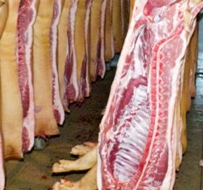 ЕС увеличивает экспорт свинины