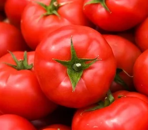 Цена на помидоры быстро падает