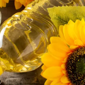 Цена на подсолнух возросла на этой неделе