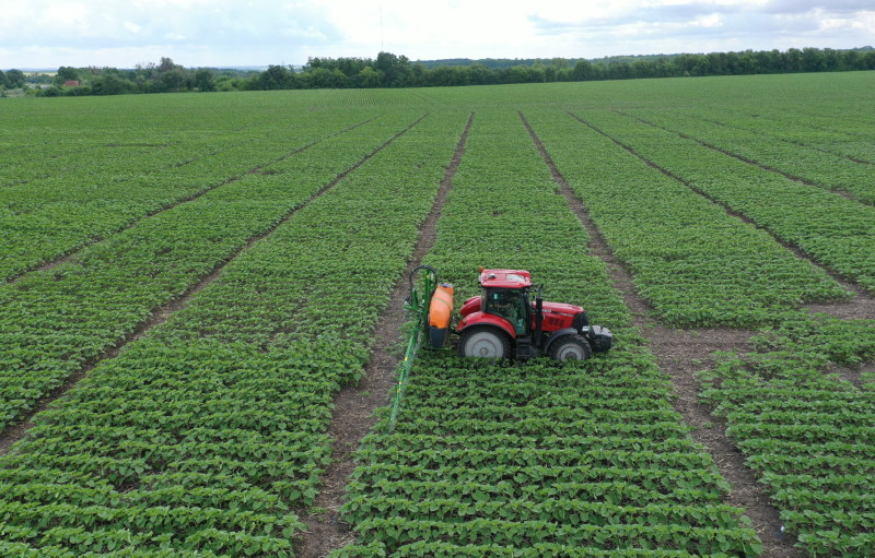 Corteva Agriscience и MHP реализуют крупную программу полевых экспериментов.