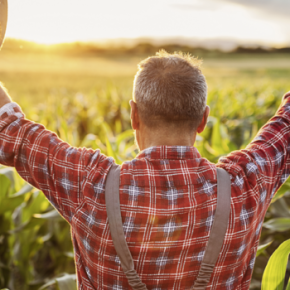 Государство хочет вернуть кооперативы для развития сельского хозяйства