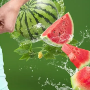Арбузы: мифы о вреда и пользе. Они действительно «слишком вкусные, чтобы быть безвредными»?