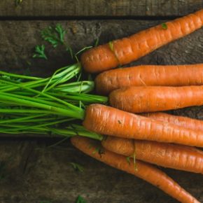 Когда собирать морковь, чтобы она была сочной и хорошо хранящейся? Когда собирать морковь, чтобы она была сочной и хорошо хранящейся?