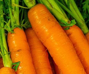 Морковь без химии: естественные средства против вредителей и болезней летом