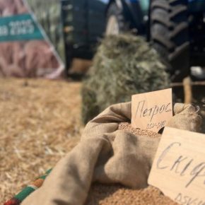 На станции размножения SCS был официально запущен урожай 2025 года. На станции размножения SCS был официально запущен урожай 2025 года.