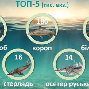 Более 680 тысяч жар.