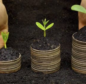 Украина получила еще 1 миллиард атюдюров для поддержки фермеров Украина получила еще 1 миллиард атюдюров для поддержки фермеров