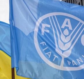 Украина поступила в совет ФАО Украина поступила в совет ФАО