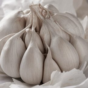 21 разновидности чеснока официально появились в Украине