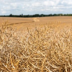 Своевременный и качественный урожай