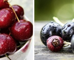 Черри и лаконичная цена