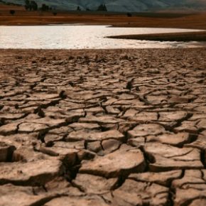 Засуха почвы охватила большинство регионов Украины