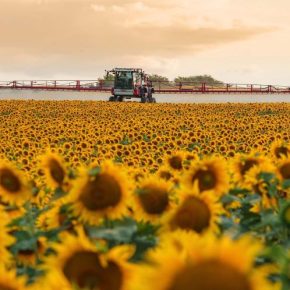 Высококачественная вода для эффективной обработки