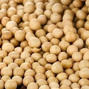 Назвал самую дорогую культуру для выращивания