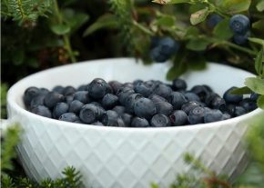 Новые лица украинского сельскохозяйственного сектора: сои, рапса и черника - от ниши до лидерства