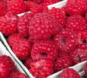 Польские производители малины встревожены из -за краха цен