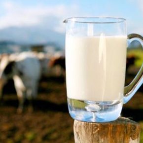 Стало известно, почему цены на молоко увеличились в Украине Стало известно, почему цены на молоко увеличились в Украине