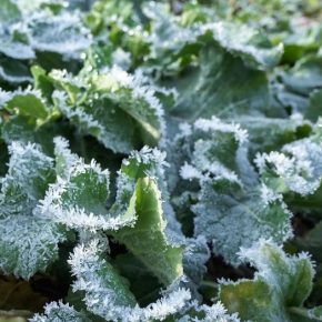 Хороший старт - успешный переход Хороший старт - успешный переход